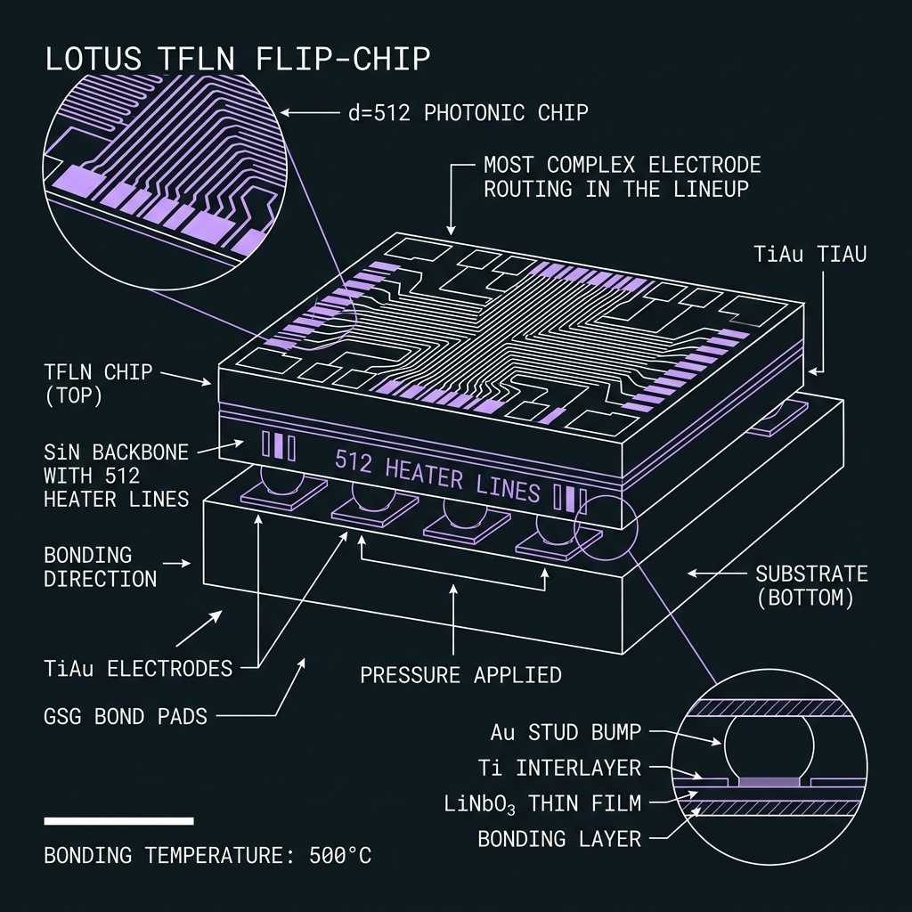 LOTUS TFLN bond & metallization — GF(512)=GF(2⁹), d=512, 20 GHz comb